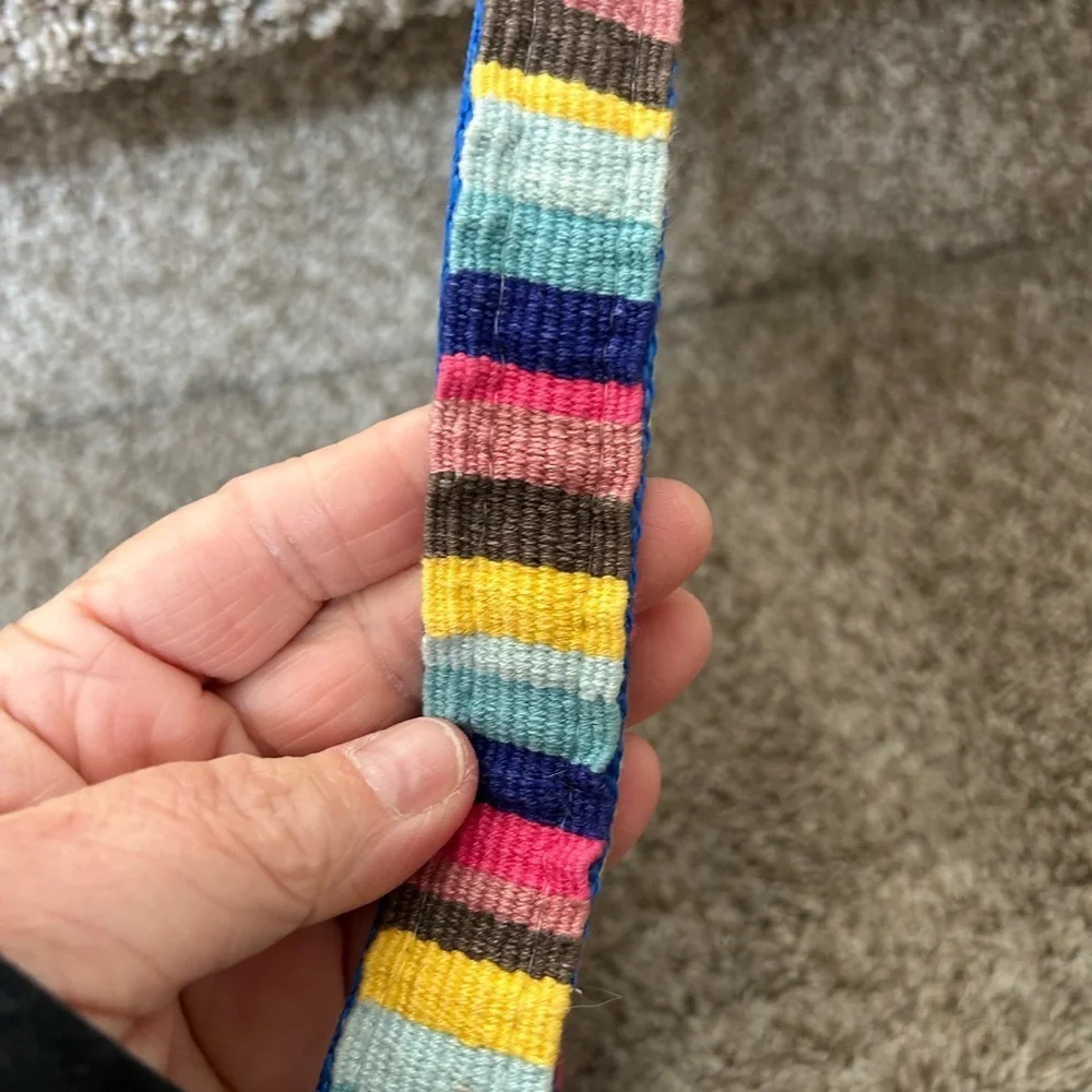 A Tail We Could Wag women’s striped belt with silver buckle. Colorful. Dog lover - Picture 7 of 10